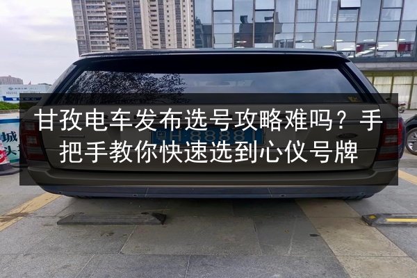 甘孜电车发布选号攻略难吗?手把手教你快速选到心仪号牌 第3张 甘孜电车发布选号攻略难吗?手把手教你快速选到心仪号牌 第3张