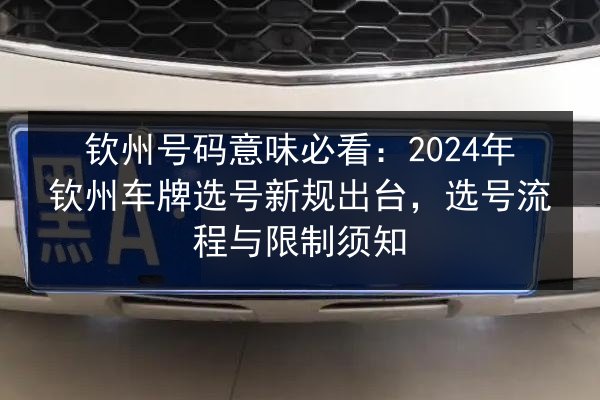 钦州号码意味必看:2024年钦州车牌选号新规出台,选号流程与限制须知 第3张 钦州号码意味必看:2024年钦州车牌选号新规出台,选号流程与限制须知 第3张