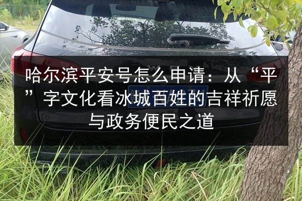 哈尔滨平安号怎么申请:从“平”字文化看冰城百姓的吉祥祈愿与政务便民之道 第2张 哈尔滨平安号怎么申请:从“平”字文化看冰城百姓的吉祥祈愿与政务便民之道 第2张