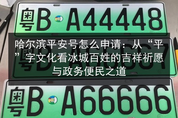 哈尔滨平安号怎么申请:从“平”字文化看冰城百姓的吉祥祈愿与政务便民之道 第3张 哈尔滨平安号怎么申请:从“平”字文化看冰城百姓的吉祥祈愿与政务便民之道 第3张