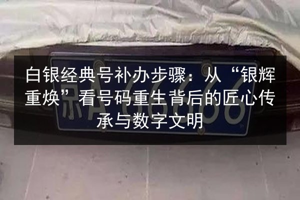 白银经典号补办步骤：从“银辉重焕”看号码重生背后的匠心传承与数字文明 第1张