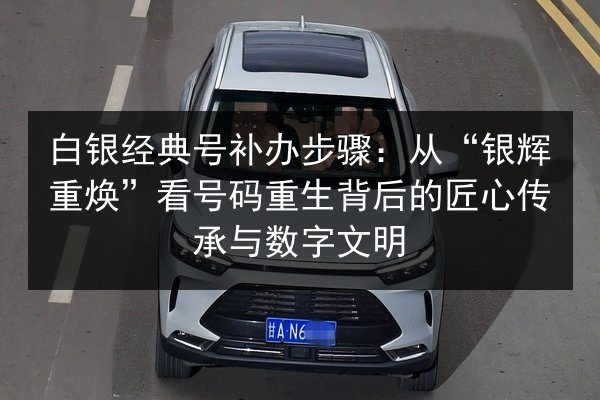 白银经典号补办步骤：从“银辉重焕”看号码重生背后的匠心传承与数字文明 第2张