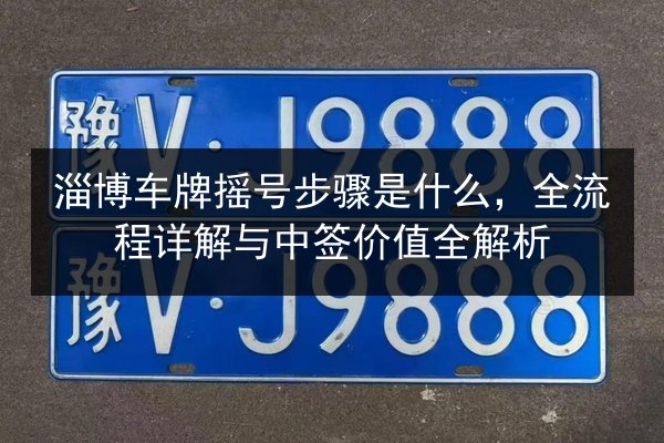 淄博车牌摇号步骤是什么，全流程详解与中签价值全解析 第2张