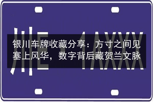 银川车牌收藏分享：方寸之间见塞上风华，数字背后藏贺兰文脉