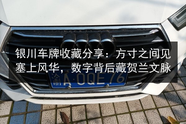 银川车牌收藏分享:方寸之间见塞上风华,数字背后藏贺兰文脉 第3张 银川车牌收藏分享:方寸之间见塞上风华,数字背后藏贺兰文脉 第3张