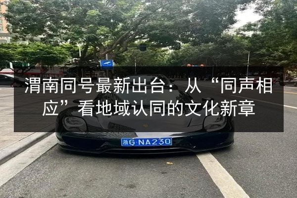 渭南同号最新出台：从“同声相应”看地域认同的文化新章 第1张