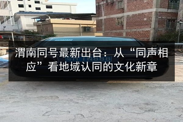 渭南同号最新出台：从“同声相应”看地域认同的文化新章 第2张