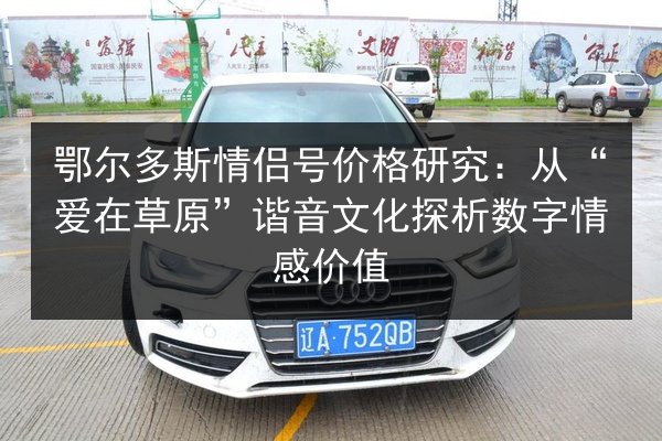 鄂尔多斯情侣号价格研究:从“爱在草原”谐音文化探析数字情感价值 第2张 鄂尔多斯情侣号价格研究:从“爱在草原”谐音文化探析数字情感价值 第2张