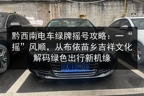 黔西南电车绿牌摇号攻略：一“摇”风顺，从布依苗乡吉祥文化解码绿色出行新机缘 第3张