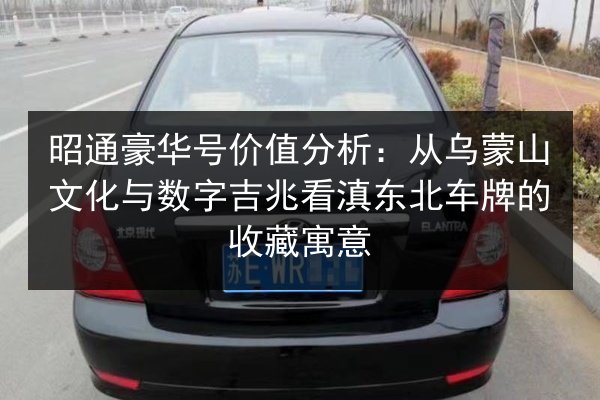 昭通豪华号价值分析:从乌蒙山文化与数字吉兆看滇东北车牌的收藏寓意 第2张 昭通豪华号价值分析:从乌蒙山文化与数字吉兆看滇东北车牌的收藏寓意 第2张