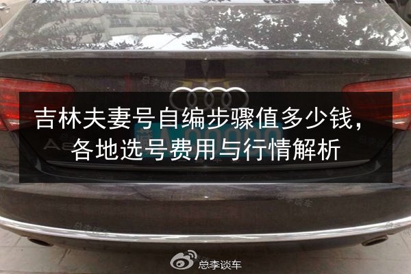 吉林夫妻号自编步骤值多少钱，各地选号费用与行情解析