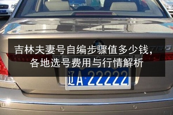 吉林夫妻号自编步骤值多少钱，各地选号费用与行情解析 第2张