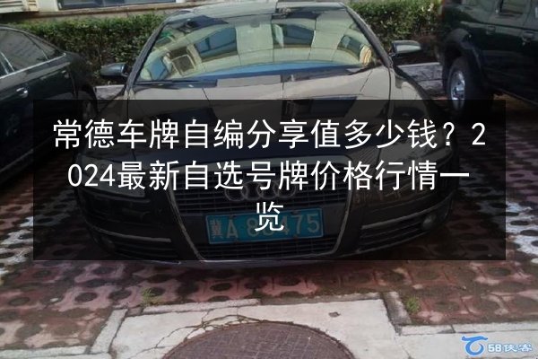 常德车牌自编分享值多少钱？2024最新自选号牌价格行情一览