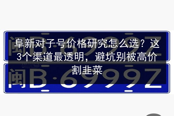 阜新对子号价格研究怎么选？这3个渠道最透明，避坑别被高价割韭菜 第3张
