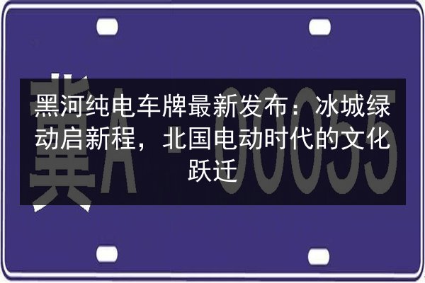 黑河纯电车牌最新发布:冰城绿动启新程,北国电动时代的文化跃迁 第2张 黑河纯电车牌最新发布:冰城绿动启新程,北国电动时代的文化跃迁 第2张