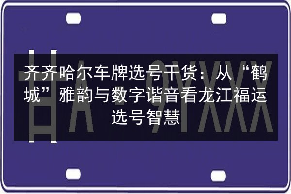 齐齐哈尔车牌选号干货：从“鹤城”雅韵与数字谐音看龙江福运选号智慧 第2张