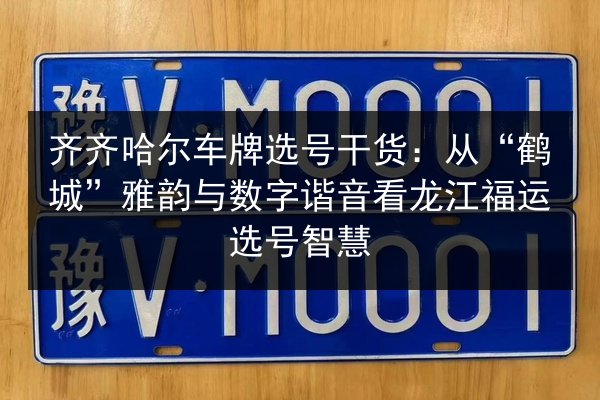 齐齐哈尔车牌选号干货：从“鹤城”雅韵与数字谐音看龙江福运选号智慧 第3张
