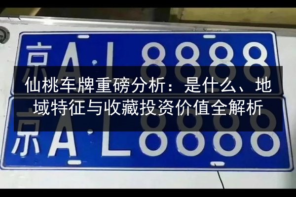 仙桃车牌重磅分析：是什么、地域特征与收藏投资价值全解析