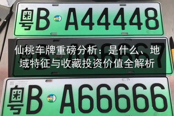 仙桃车牌重磅分析：是什么、地域特征与收藏投资价值全解析 第2张