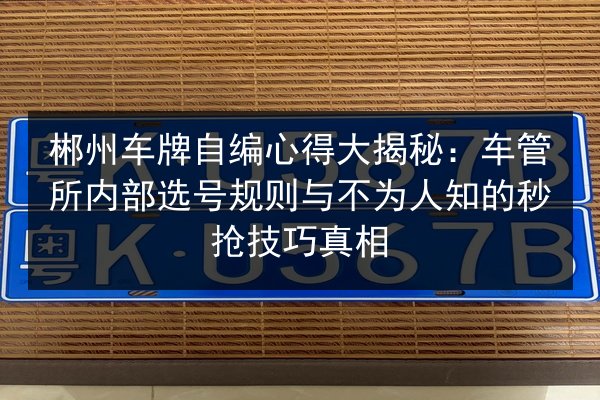 郴州车牌自编心得大揭秘：车管所内部选号规则与不为人知的秒抢技巧真相