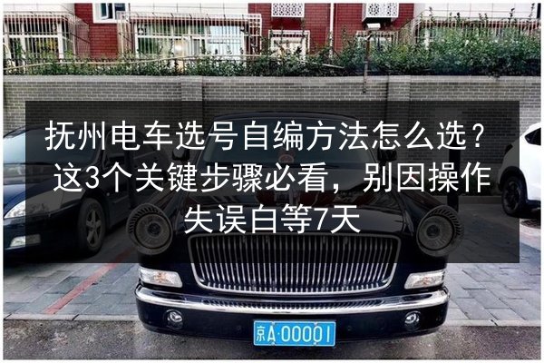 抚州电车选号自编方法怎么选？这3个关键步骤必看，别因操作失误白等7天