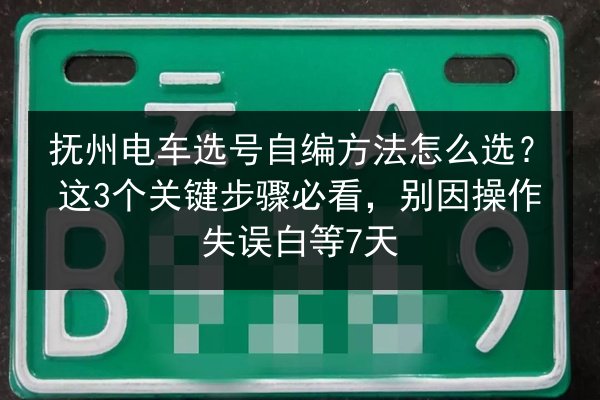 抚州电车选号自编方法怎么选？这3个关键步骤必看，别因操作失误白等7天 第2张