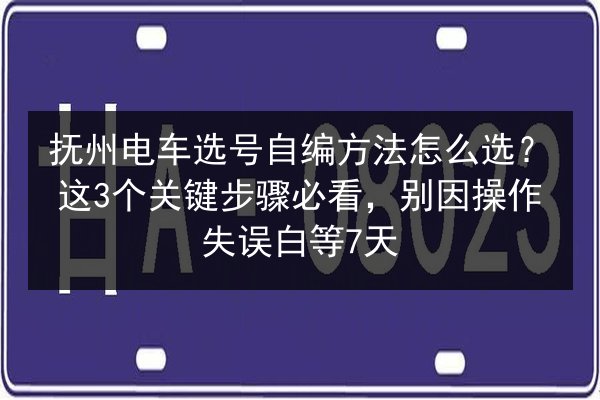 抚州电车选号自编方法怎么选？这3个关键步骤必看，别因操作失误白等7天 第3张