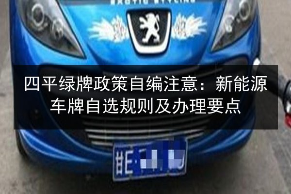 四平绿牌政策自编注意:新能源车牌自选规则及办理要点 第3张 四平绿牌政策自编注意:新能源车牌自选规则及办理要点 第3张