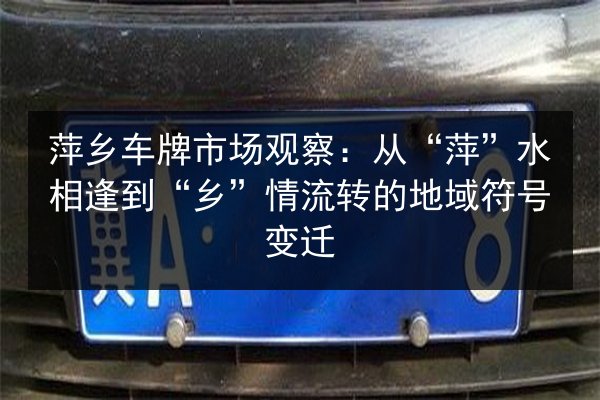 萍乡车牌市场观察:从“萍”水相逢到“乡”情流转的地域符号变迁 第3张 萍乡车牌市场观察:从“萍”水相逢到“乡”情流转的地域符号变迁 第3张