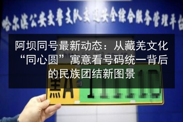 阿坝同号最新动态:从藏羌文化“同心圆”寓意看号码统一背后的民族团结新图景 第2张 阿坝同号最新动态:从藏羌文化“同心圆”寓意看号码统一背后的民族团结新图景 第2张