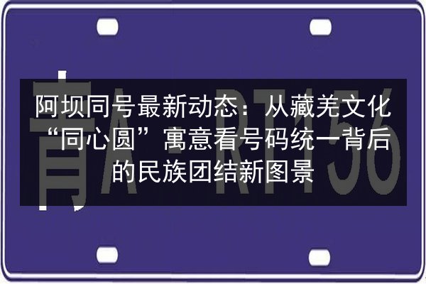 阿坝同号最新动态:从藏羌文化“同心圆”寓意看号码统一背后的民族团结新图景 第3张 阿坝同号最新动态:从藏羌文化“同心圆”寓意看号码统一背后的民族团结新图景 第3张