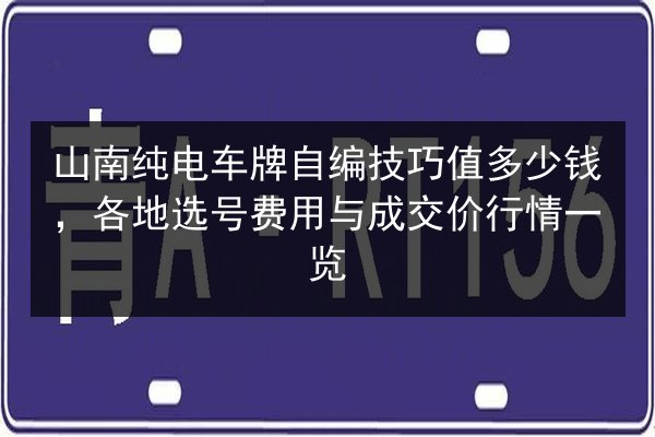 山南纯电车牌自编技巧值多少钱，各地选号费用与成交价行情一览 第1张
