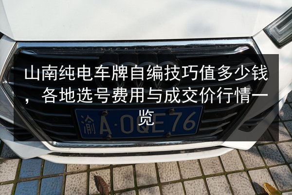 山南纯电车牌自编技巧值多少钱，各地选号费用与成交价行情一览 第2张