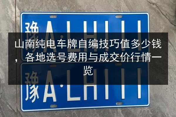 山南纯电车牌自编技巧值多少钱，各地选号费用与成交价行情一览 第3张