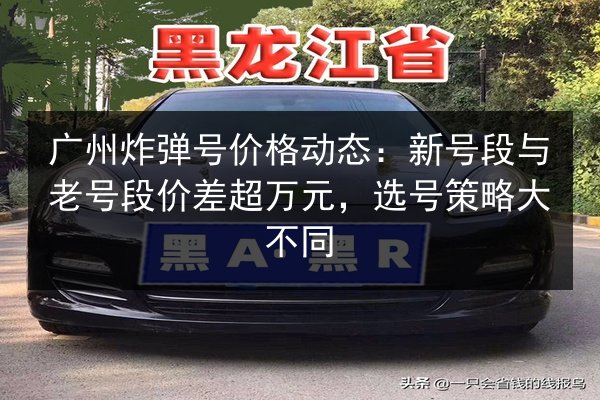 广州炸弹号价格动态：新号段与老号段价差超万元，选号策略大不同
