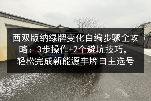 西双版纳绿牌变化自编步骤全攻略：3步操作+2个避坑技巧，轻松完成新能源车牌自主选号