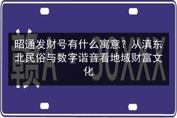 昭通发财号有什么寓意？从滇东北民俗与数字谐音看地域财富文化 第1张