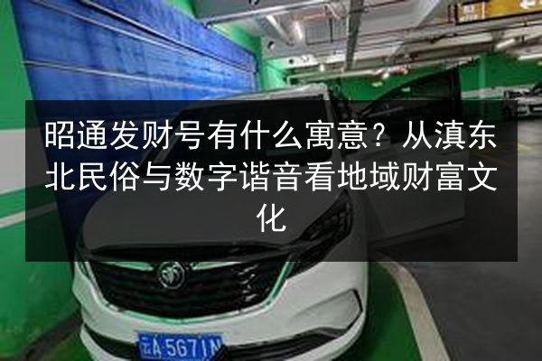 昭通发财号有什么寓意？从滇东北民俗与数字谐音看地域财富文化 第3张