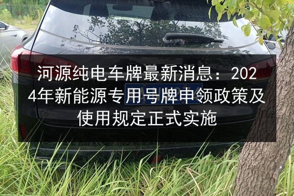 河源纯电车牌最新消息:2024年新能源专用号牌申领政策及使用规定正式实施 第2张 河源纯电车牌最新消息:2024年新能源专用号牌申领政策及使用规定正式实施 第2张