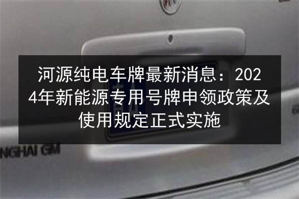 河源纯电车牌最新消息:2024年新能源专用号牌申领政策及使用规定正式实施 第3张 河源纯电车牌最新消息:2024年新能源专用号牌申领政策及使用规定正式实施 第3张