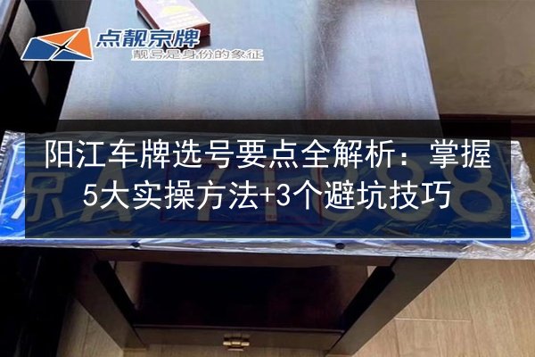 阳江车牌选号要点全解析：掌握5大实操方法+3个避坑技巧 第1张