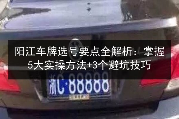 阳江车牌选号要点全解析：掌握5大实操方法+3个避坑技巧 第3张
