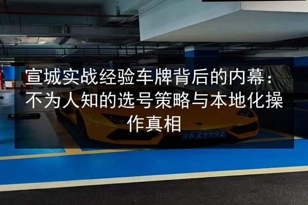 宣城实战经验车牌背后的内幕：不为人知的选号策略与本地化操作真相