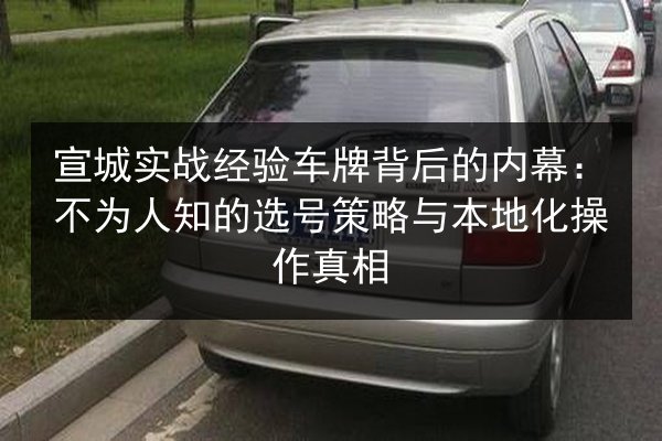 宣城实战经验车牌背后的内幕:不为人知的选号策略与本地化操作真相 第2张 宣城实战经验车牌背后的内幕:不为人知的选号策略与本地化操作真相 第2张