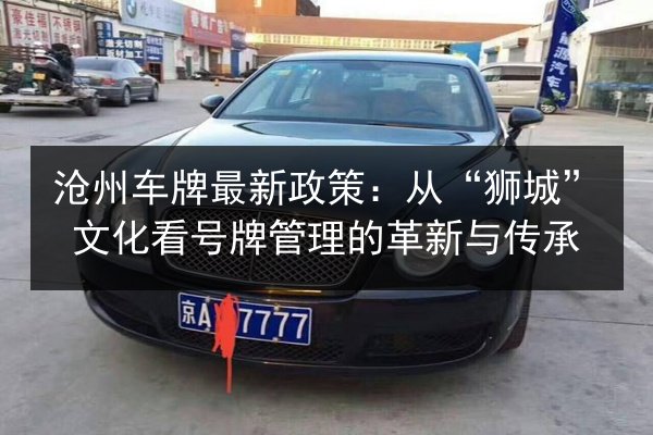 沧州车牌最新政策：从“狮城”文化看号牌管理的革新与传承 第2张