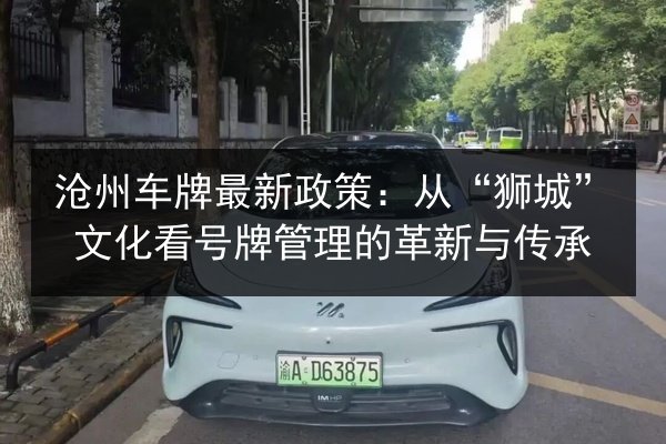 沧州车牌最新政策：从“狮城”文化看号牌管理的革新与传承 第3张