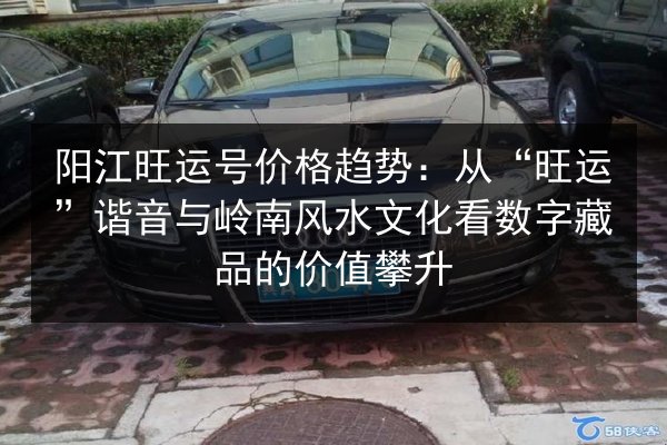 阳江旺运号价格趋势:从“旺运”谐音与岭南风水文化看数字藏品的价值攀升 第2张 阳江旺运号价格趋势:从“旺运”谐音与岭南风水文化看数字藏品的价值攀升 第2张