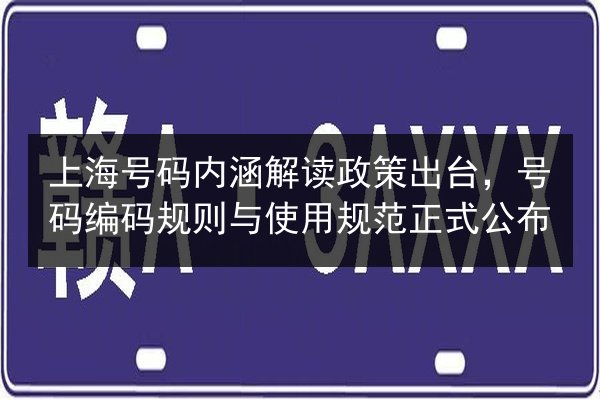 上海号码内涵解读政策出台,号码编码规则与使用规范正式公布 第3张 上海号码内涵解读政策出台,号码编码规则与使用规范正式公布 第3张