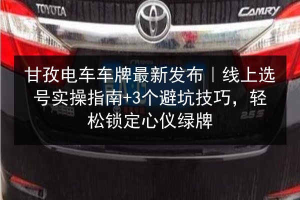 甘孜电车车牌最新发布｜线上选号实操指南+3个避坑技巧，轻松锁定心仪绿牌 第3张