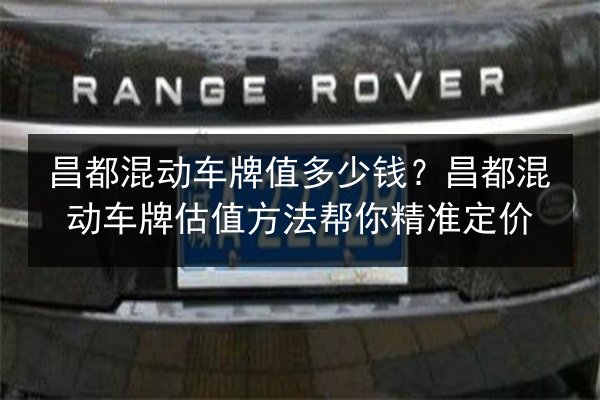 昌都混动车牌值多少钱?昌都混动车牌估值方法帮你精准定价 第3张 昌都混动车牌值多少钱?昌都混动车牌估值方法帮你精准定价 第3张